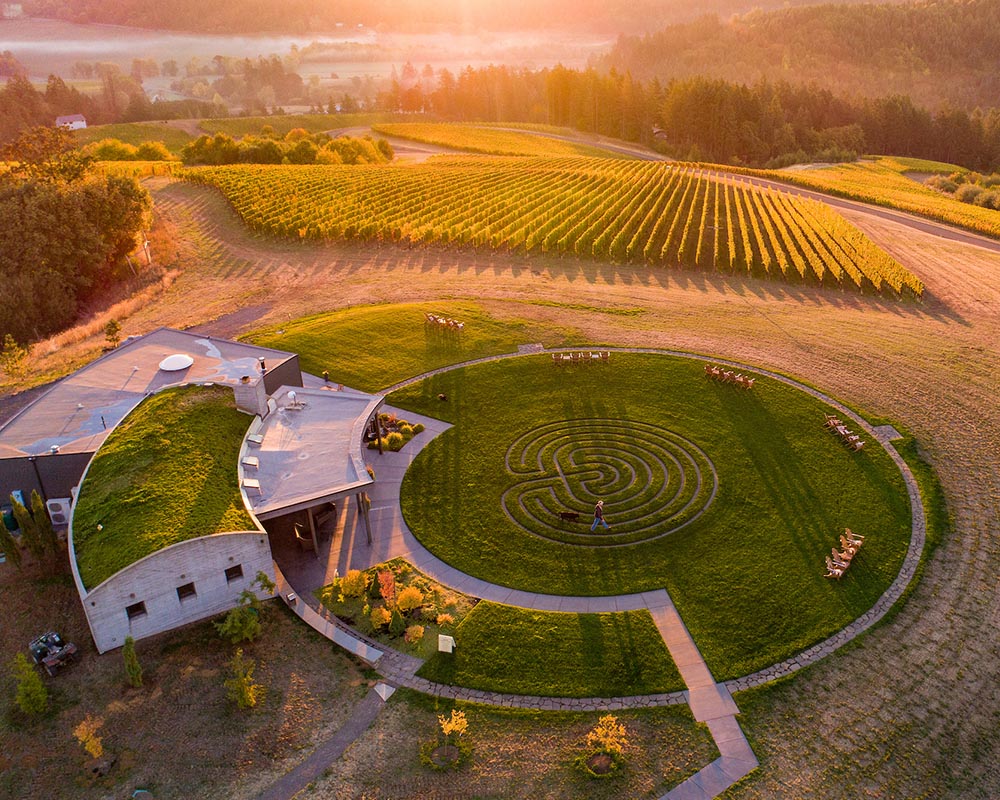 Walking the labyrinth at Fairsing Vineyard with the sunrise