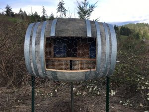 Orchard Mason Bee Incubator at Fairsing Vineyard