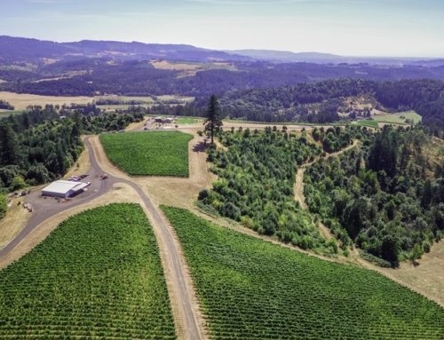 Fairsing and the Willamette Valley Oak Accord