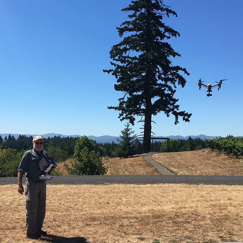 Piloting the drone for aerial photos at Fairsing Vineyard as part of the assessment for the Oak Accord
