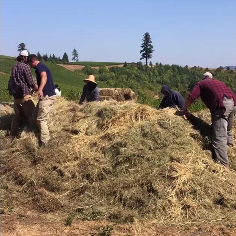 Fairsing establishes compost program on west side of vineyard as part of their sustainable initiatives