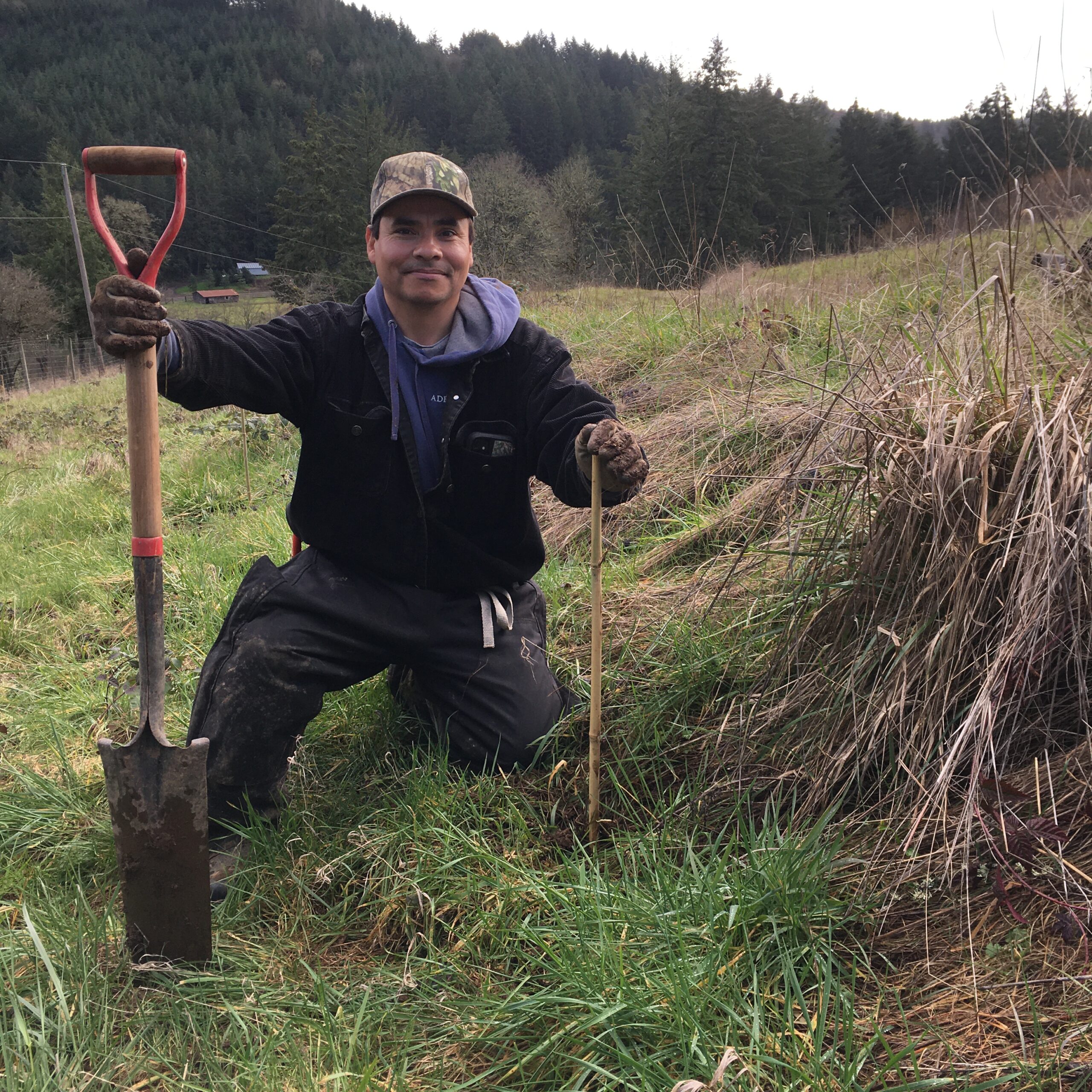 Fairsing celebrates 15years in Oregon's Willamette Valley by expanding sustainable practices which included planting 1,000 Oregon White Oak saplings