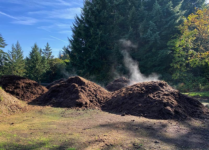 Full steam ahead with the holistic compost initiatives at Fairsing Vineyard in Oregon's Willamette Valley 