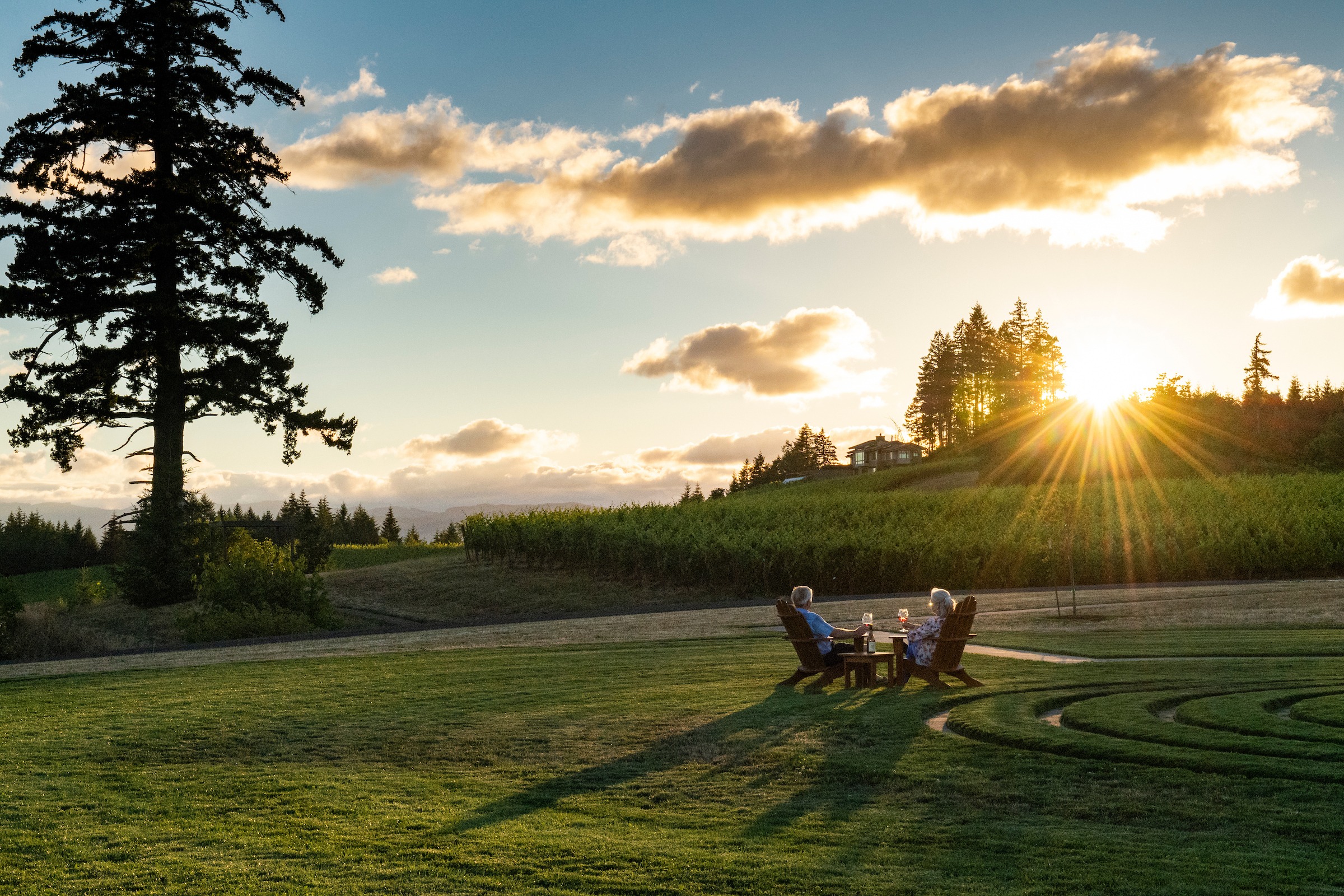The owners of Fairsing Vineyard sit in Adirondack chairs enjoying the sunset in Oregon's Willamette Valley