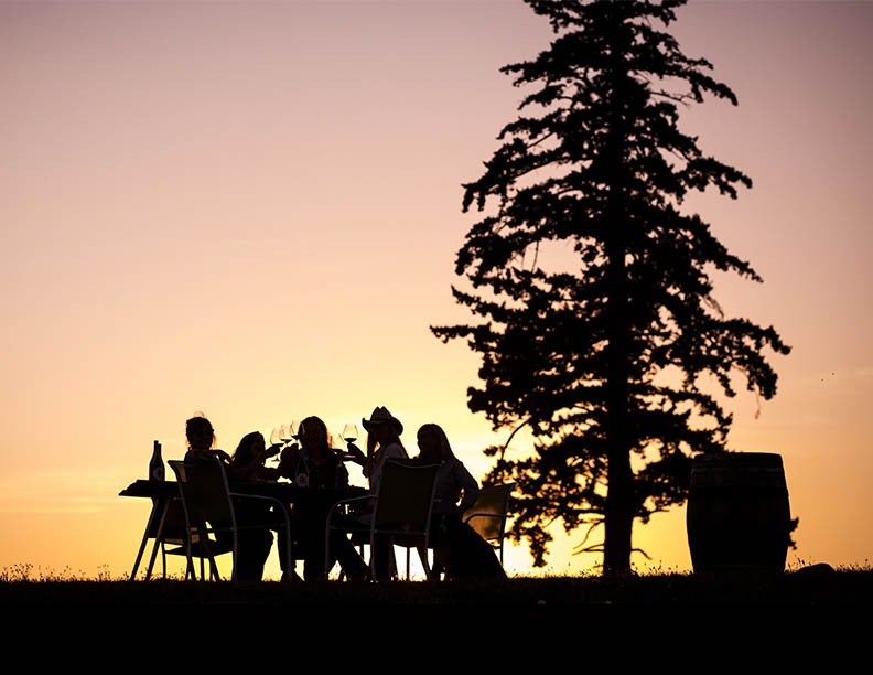 In silhouette guests toast with wine glasses around at sunset near the lone old-growth Douglas fir tree at Fairsing Vineyard in Oregon's Willamette Valley 