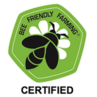 A green hexagon with black honeybee on a white flower to represent Fee Friendly Farming Certification
