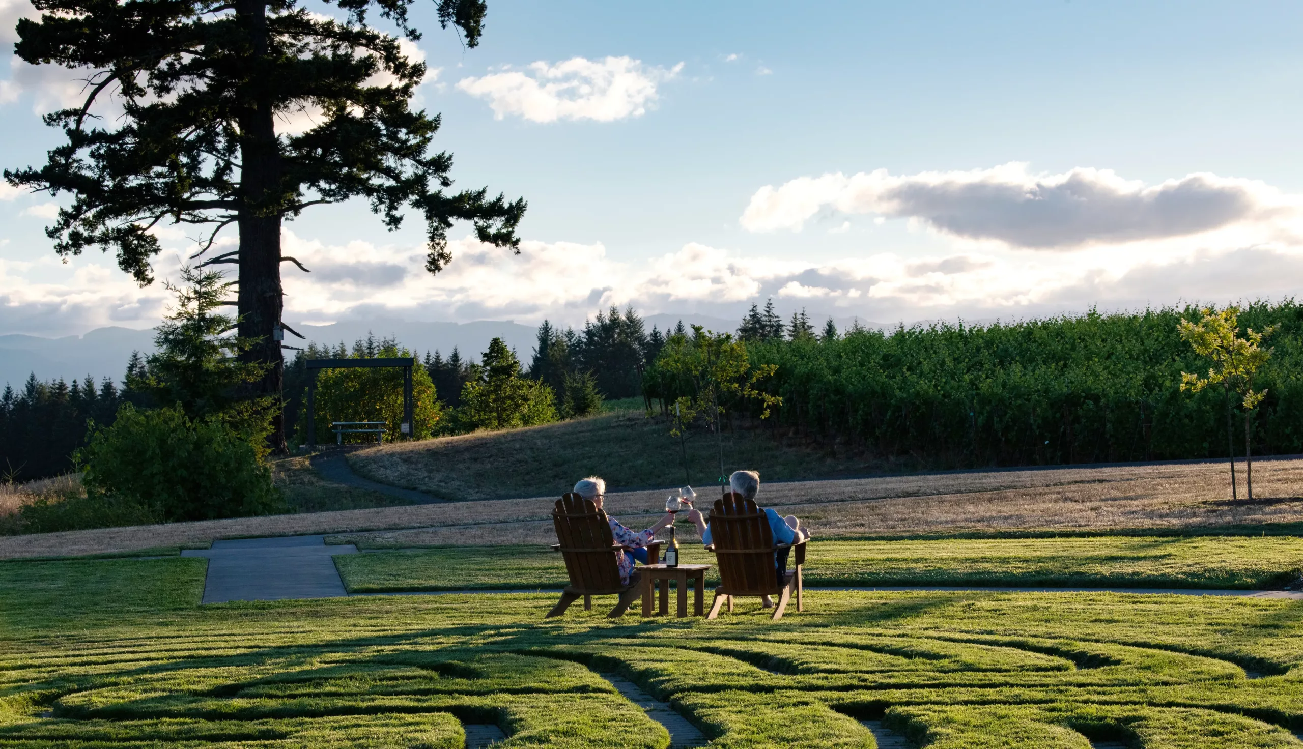 Two people sitting in lawn chairs on a green lawn clink wine glasses while taking in the sunset beneath an old-growth Douglas fir tree at Fairsing Vineyard in Oregon's Willamette Valley