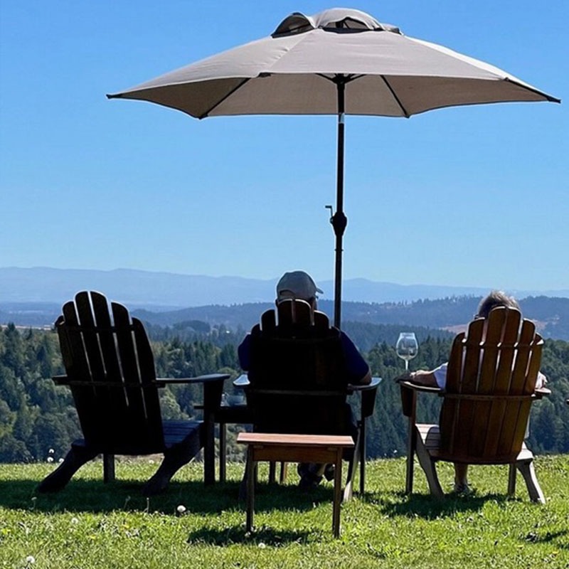 Fairsing Vineyard wine glasses and a bottle pouring the estate Pinot noir into a glass surrounded by culinary selections